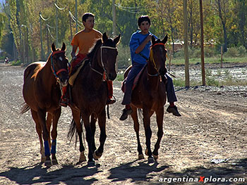 Vareando caballos de Endurance