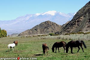 Reserva Natural Estricta El Leoncito